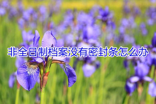 非全日制档案没有密封条怎么办