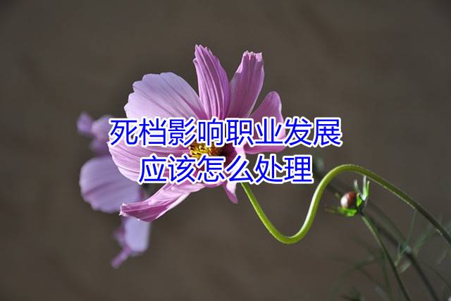 死档影响职业发展，应该怎么处理