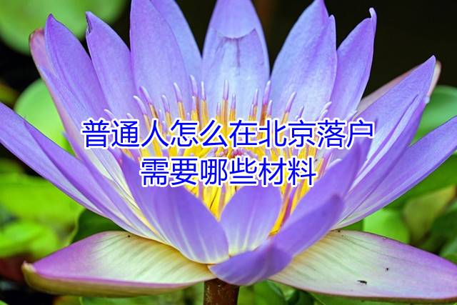普通人怎么在北京落户，需要哪些材料