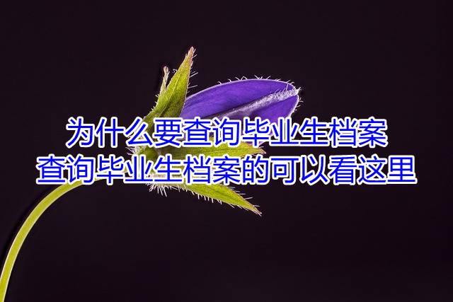 为什么要查询毕业生档案，查询毕业生档案的可以看这里