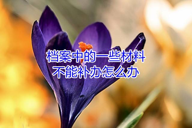 档案中的一些材料不能补办怎么办