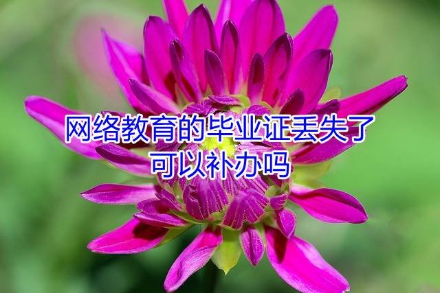 网络教育的毕业证丢失了可以补办吗