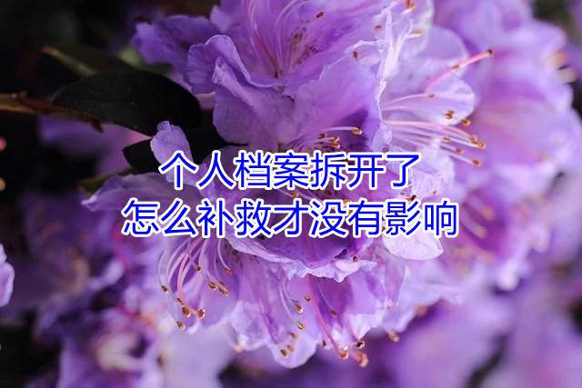 个人档案拆开了怎么补救才没有影响