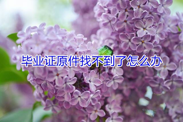毕业证原件找不到了怎么办