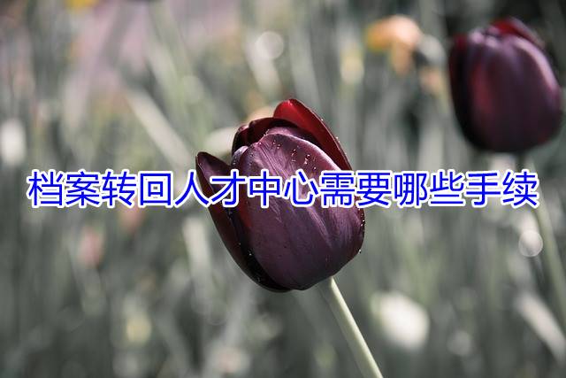 档案转回人才中心需要哪些手续