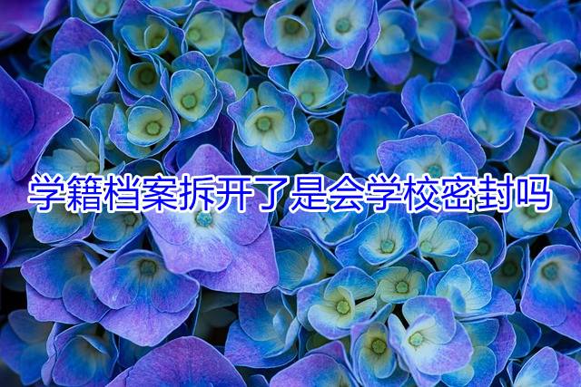 学籍档案拆开了是会学校密封吗