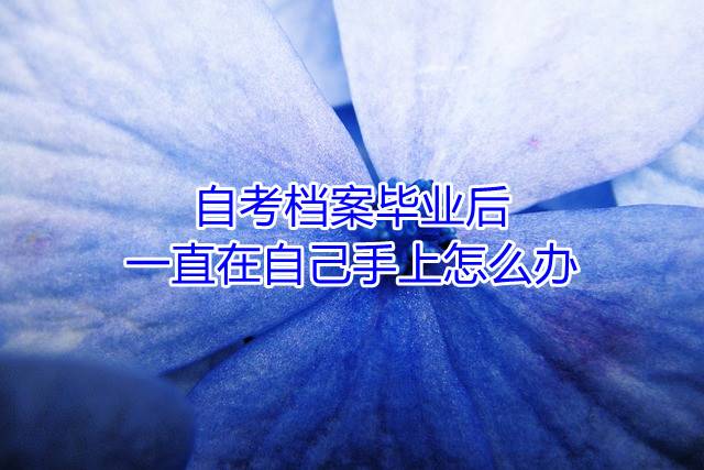 自考档案毕业后一直在自己手上怎么办