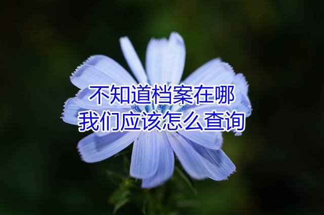不知道档案在哪，我们应该怎么查询