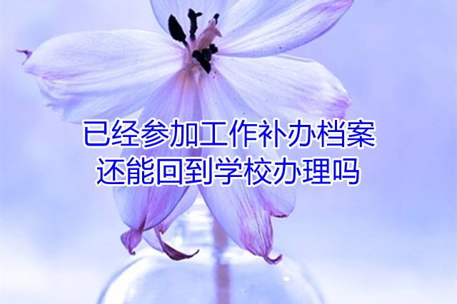 已经参加工作补办档案还能回到学校办理吗