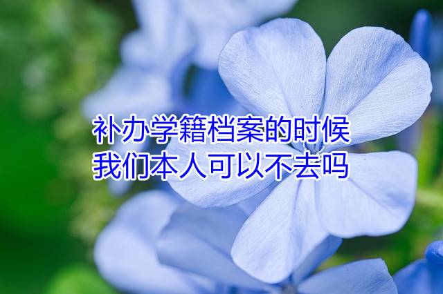 补办学籍档案的时候，我们本人可以不去吗