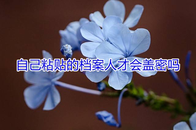 自己粘贴的档案人才会盖密吗