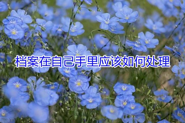 档案在自己手里应该如何处理