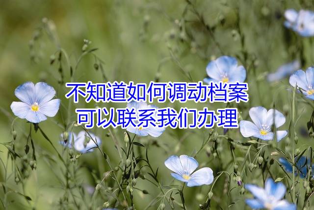 不知道如何调动档案，可以联系我们办理