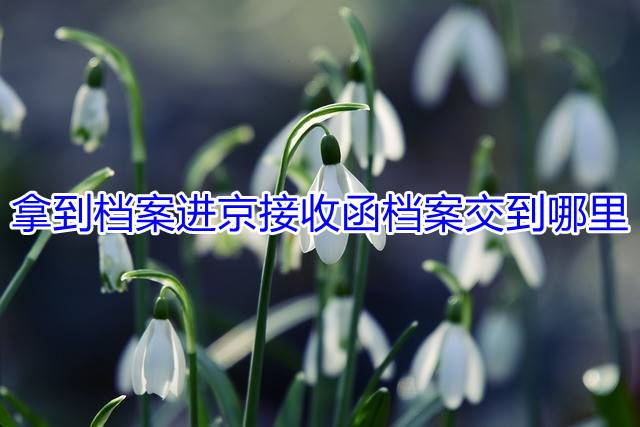 拿到档案进京接收函档案交到哪里