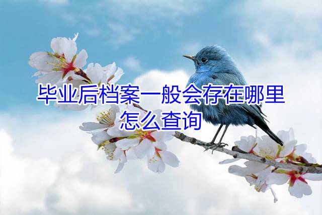 毕业后档案一般会存在哪里，怎么查询