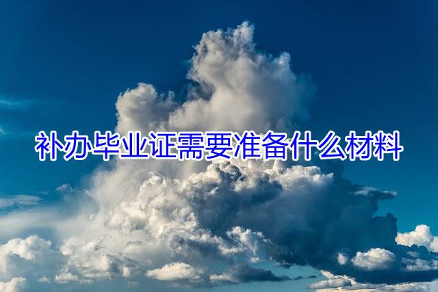 补办毕业证需要准备什么材料