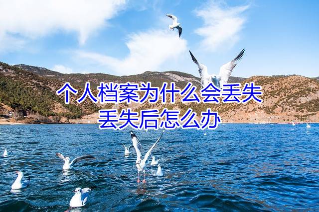 个人档案为什么会丢失，丢失后怎么办