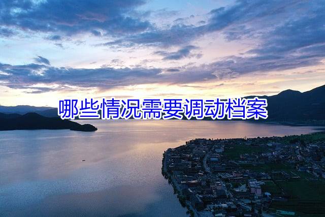哪些情况需要调动档案