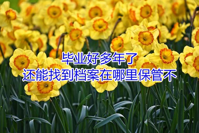毕业好多年了还能找到档案在哪里保管不