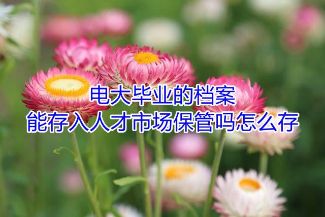 电大毕业的档案能存入人才市场保管吗，怎么存