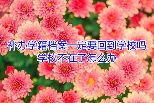 补办学籍档案一定要回到学校吗，学校不在了怎么办