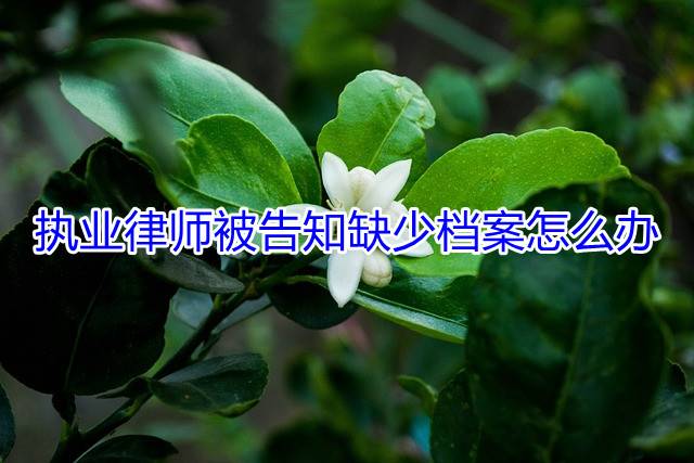 执业律师被告知缺少档案怎么办