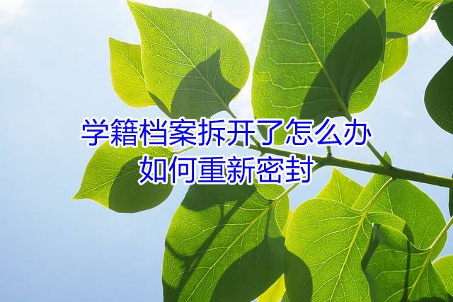 学籍档案拆开了怎么办，如何重新密封