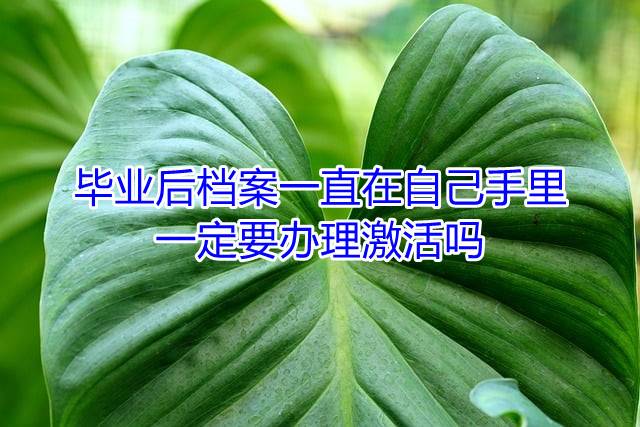 毕业后档案一直在自己手里，一定要办理激活吗