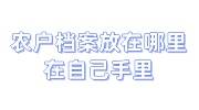 农户档案放在哪里，在自己手里怎么处理存档问题