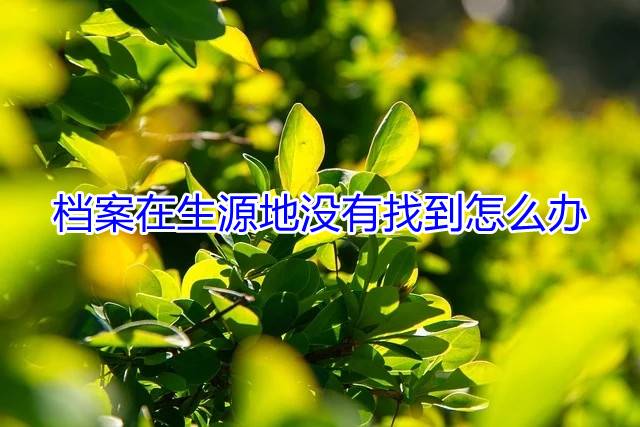 档案在生源地没有找到怎么办