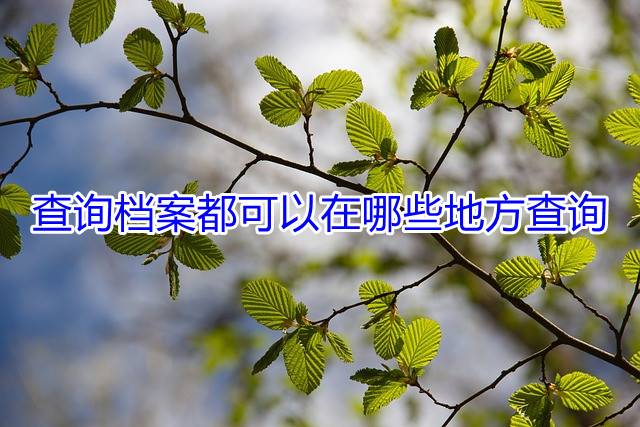 查询档案都可以在哪些地方查询