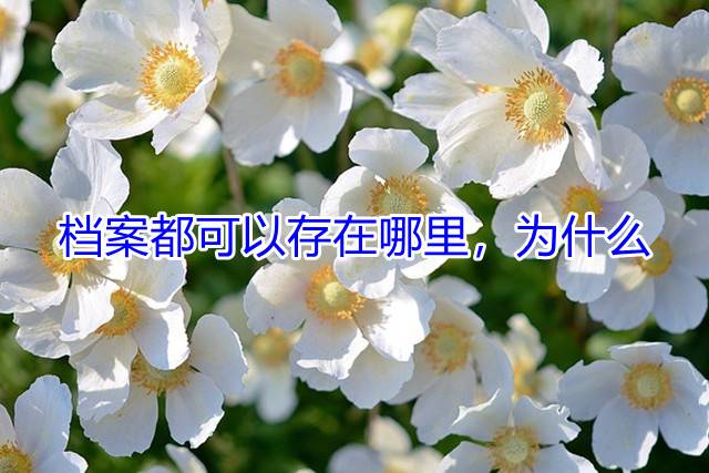 档案都可以存在哪里，为什么