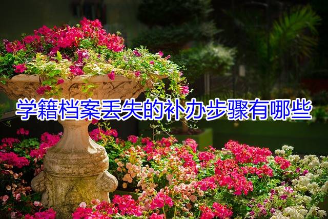 学籍档案丢失的补办步骤有哪些