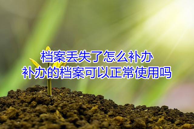档案丢失了怎么补办，补办的档案可以正常使用吗