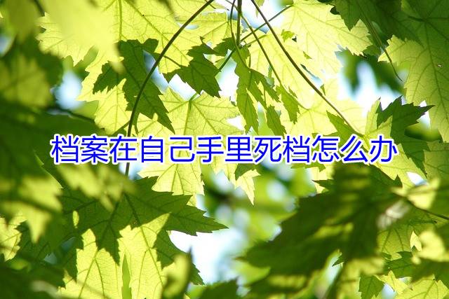 档案在自己手里死档怎么办