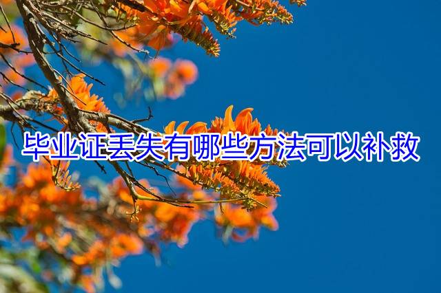 毕业证丢失有哪些方法可以补救