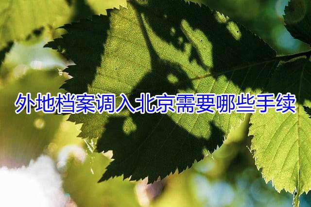 外地档案调入北京需要哪些手续
