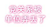 党关系被单位弄丢了怎么补救，可以补回来吗