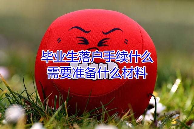 毕业生落户手续什么，需要准备什么材料