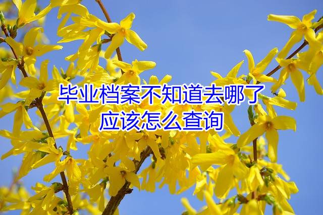 毕业档案不知道去哪了，应该怎么查询