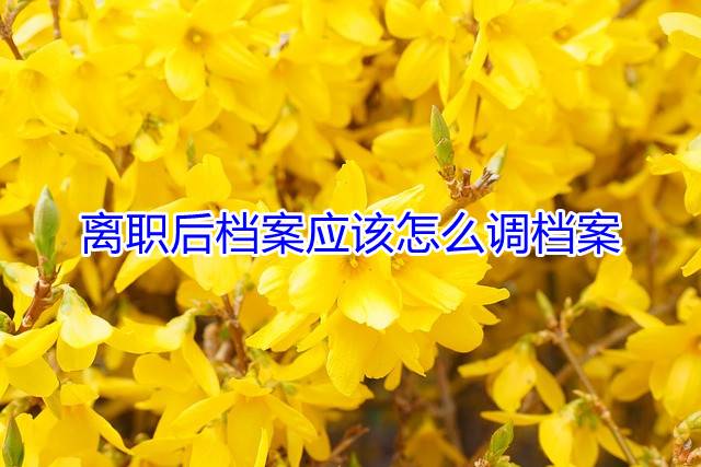 离职后档案应该怎么调档案