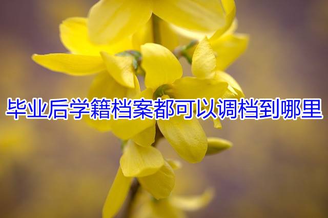 毕业后学籍档案都可以调档到哪里