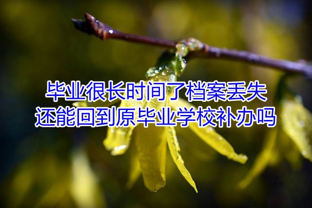 毕业很长时间了，档案丢失还能回到原毕业学校补办吗