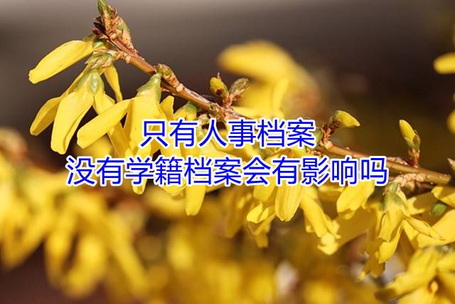 只有人事档案没有学籍档案会有影响吗