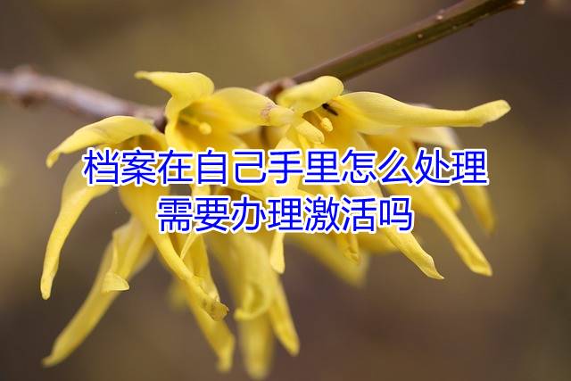 档案在自己手里怎么处理，需要办理激活吗