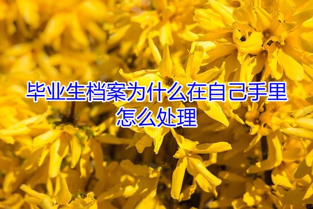 毕业生档案为什么在自己手里，怎么处理