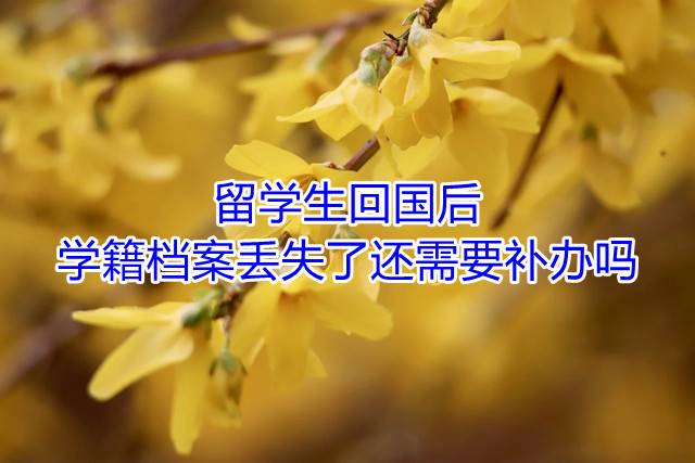 留学生回国后，学籍档案丢失了还需要补办吗