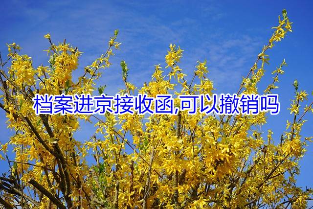 档案进京接收函,可以撤销吗