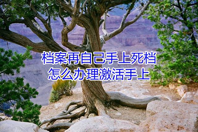 档案再自己手上死档，怎么办理激活手上