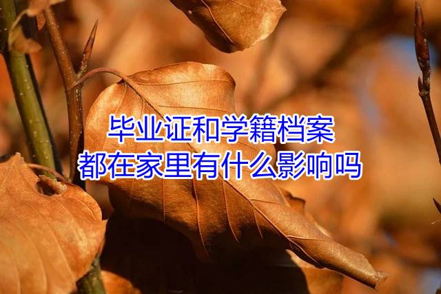 毕业证和学籍档案都在家里有什么影响吗